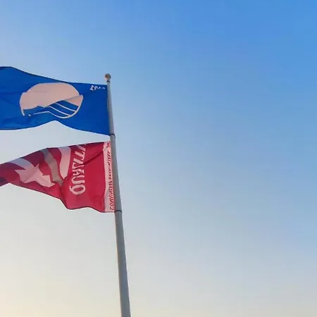 Jacaranda By Costa *