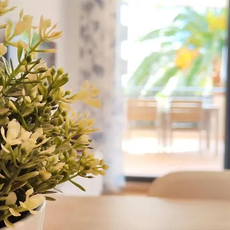 Jacaranda By Costa Dénia