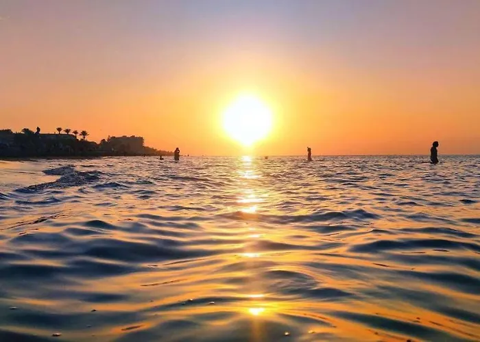 Jacaranda By Costa * Dénia
