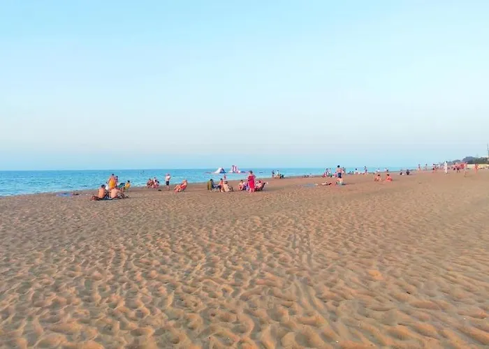 Jacaranda By Costa Dénia