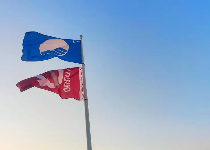 Jacaranda By Costa *