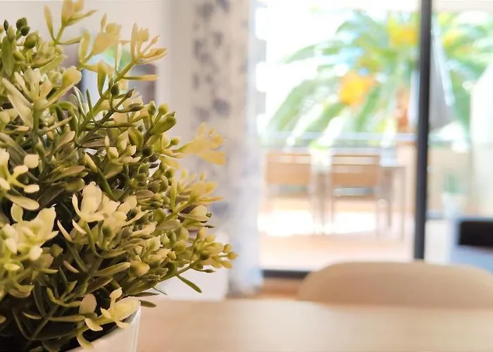 Jacaranda By Costa Dénia